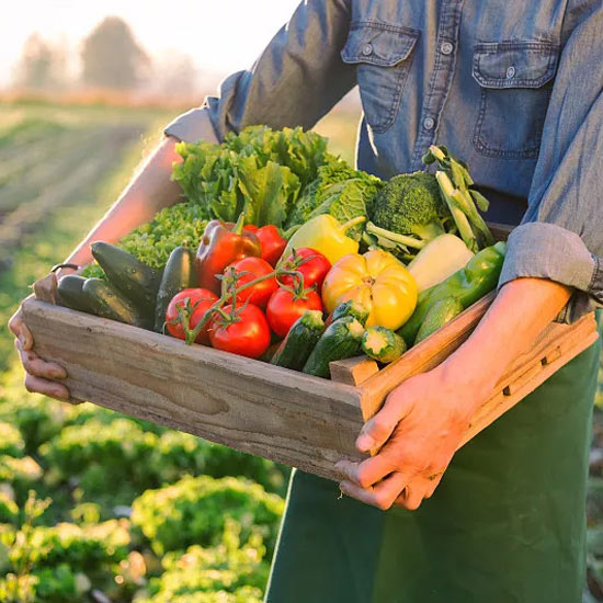 機械式雙層立體車位